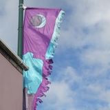 PEMBROKE FESTIVAL BANNER